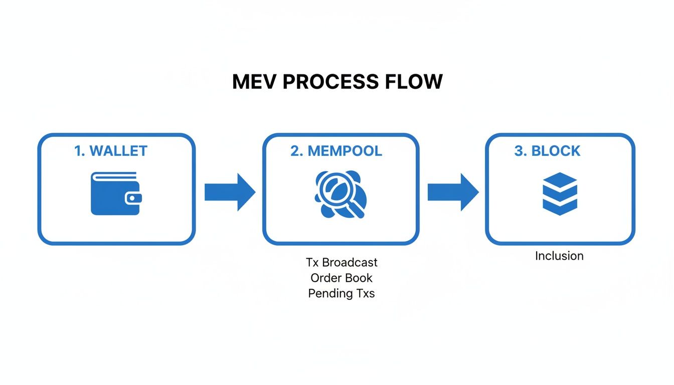MEV process flow diagram showing a transaction from wallet to mempool and block inclusion.