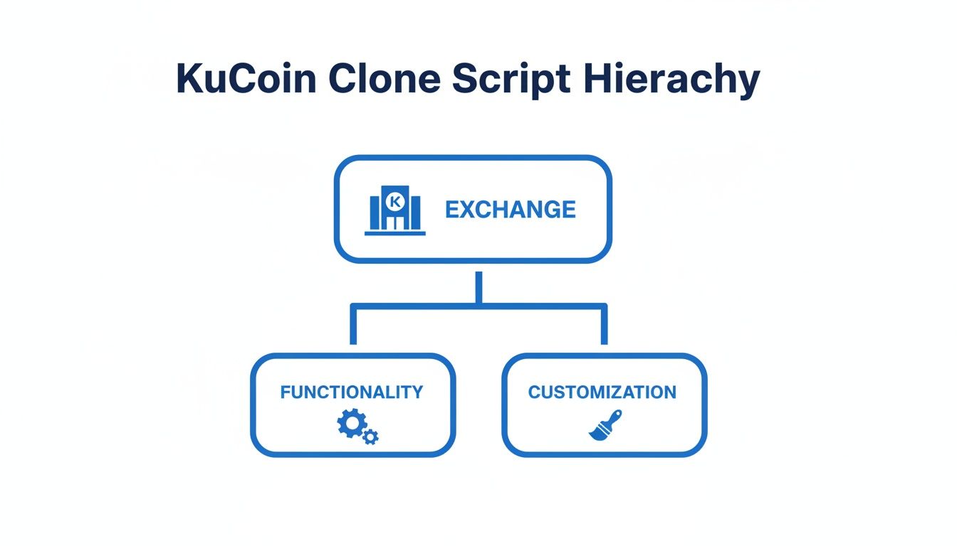 A diagram illustrating the KuCoin Clone Script Hierarchy with Exchange at the top, branching to Functionality and Customization.