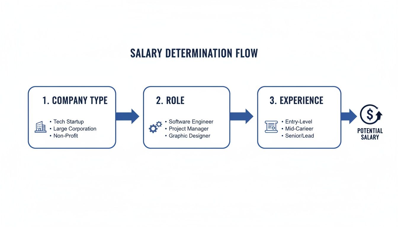 Flowchart illustrating salary determination factors: company type, role, and experience leading to potential salary.